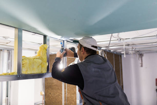 Best Spray Foam Insulation in Three Rivers, CA