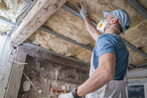 Best Blown-in Insulation in Three Rivers, CA